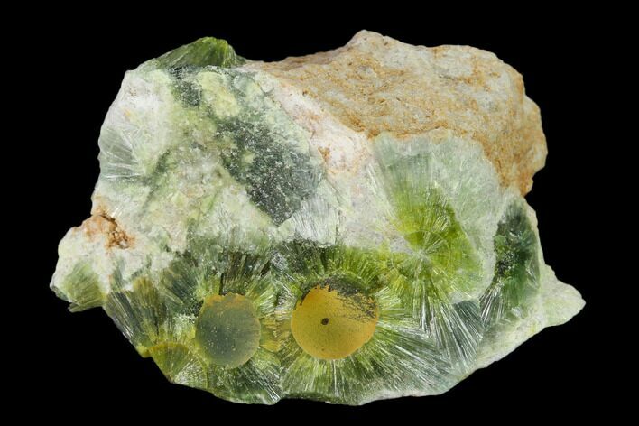 Radiating, Green Wavellite Crystal Aggregation - Arkansas #135939